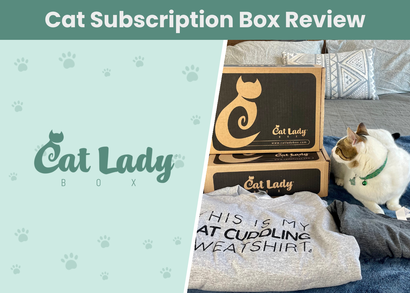 CatLadyBox Subscription Review 2026: A Detailed Look