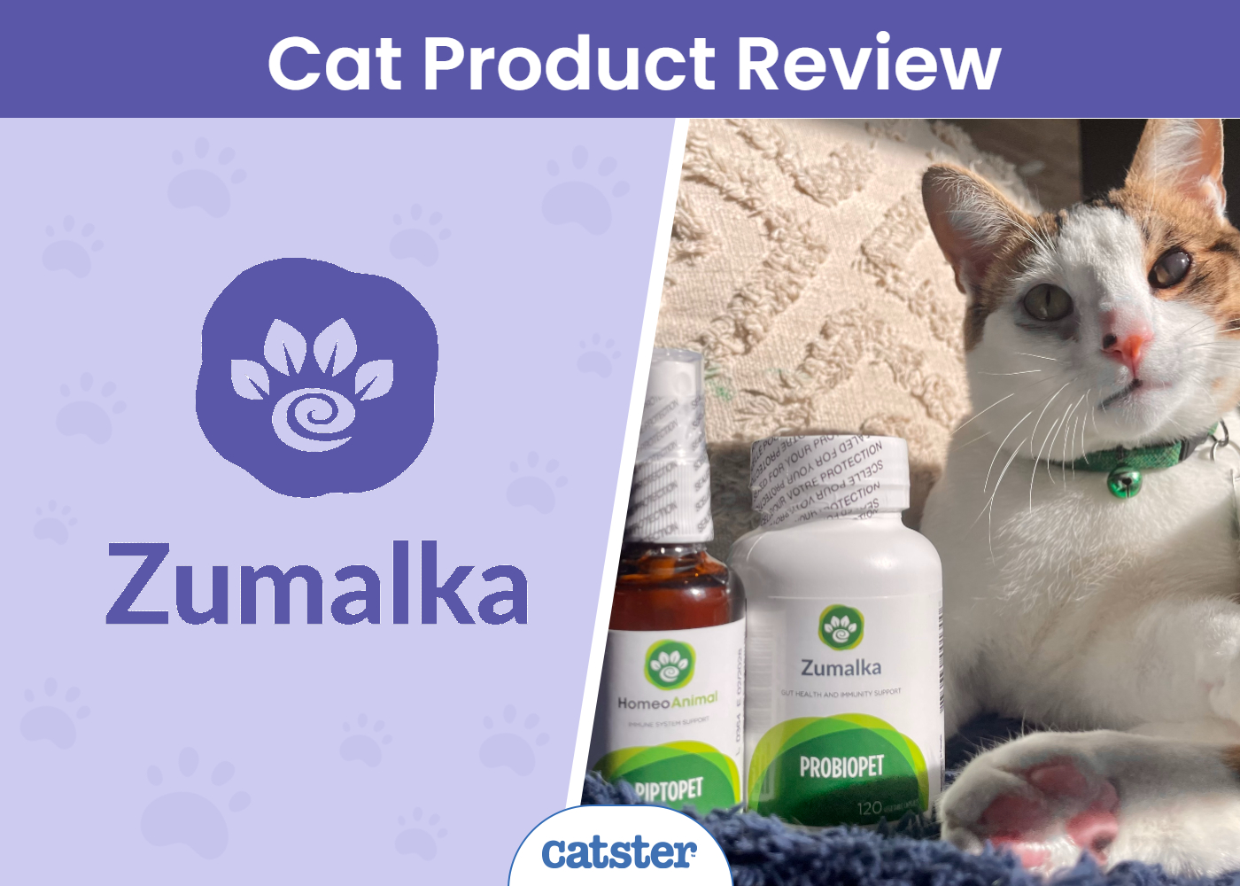 Zumalka Pet Supplement Review 2026: A Detailed Look