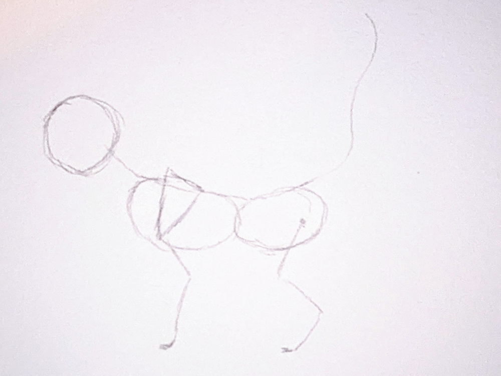 How to Draw Cats_Standing 1