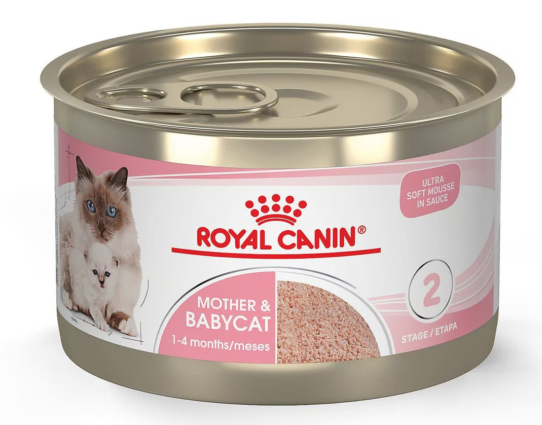 Royal Canin Feline Health Nutrition Mother &amp; Babycat Ultra Soft Mousse in Sauce Canned Cat Food
