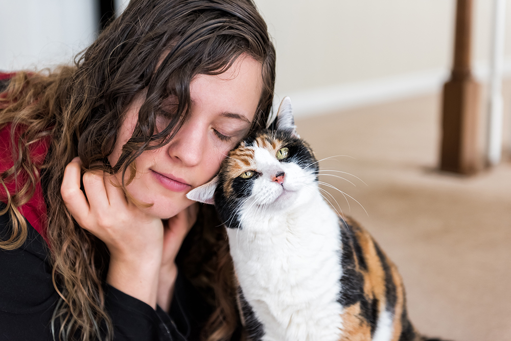 Weird Cat Behaviors That Actually Make Perfect Sense