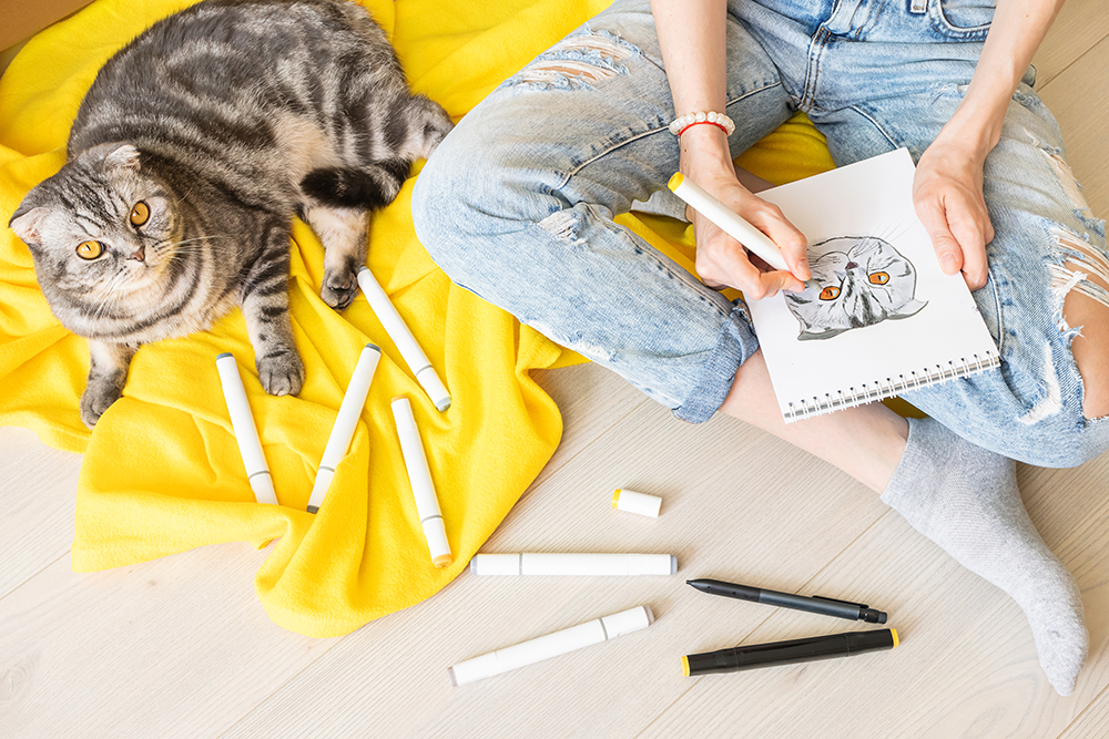 How to Draw Cats: Our Vet-Approved Step-by-Step Guide