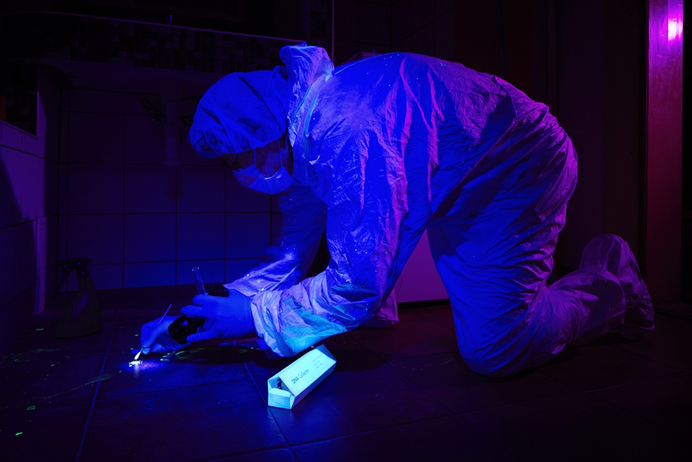 10 Best Blacklights for Finding Cat Urine Stains in 2026 – Reviews & Top Picks