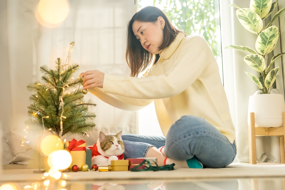 How to Reduce Stress in Cats Over the Holidays: 10 Vet Approved Tips