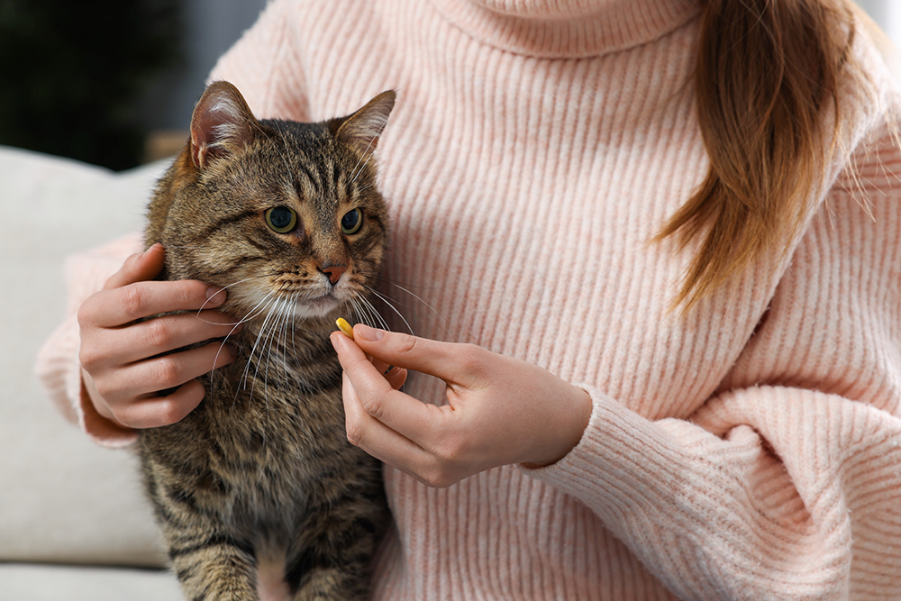 Pyrantel for Cats: Dosage, Uses, Side Effects (Vet Answer)