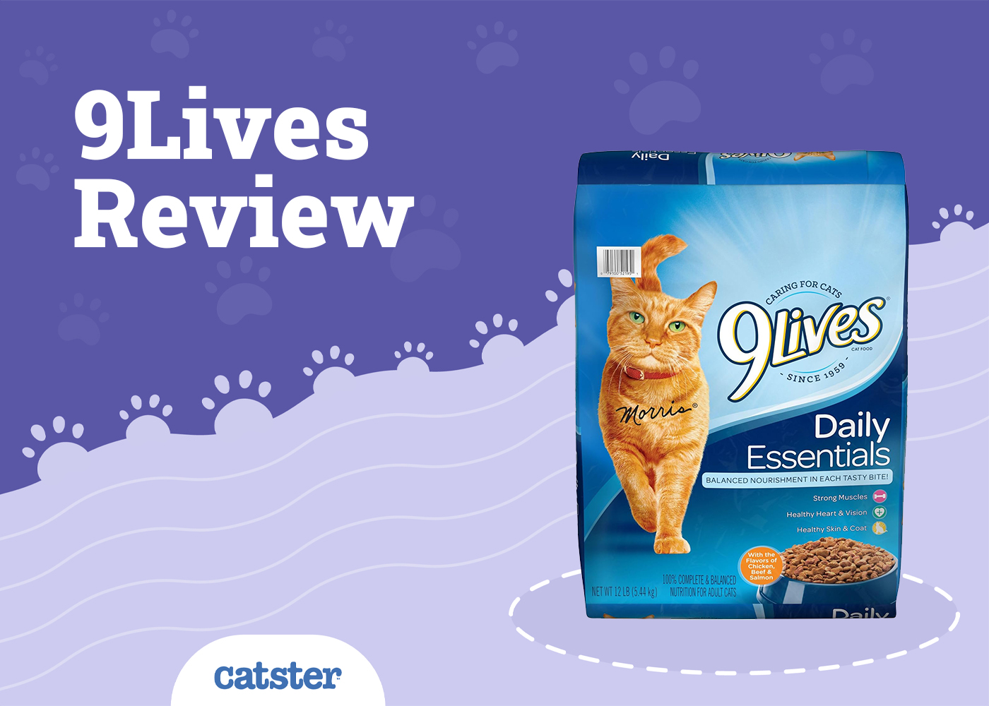9 Lives Cat Food Review in 2026: Recalls, Pros & Cons