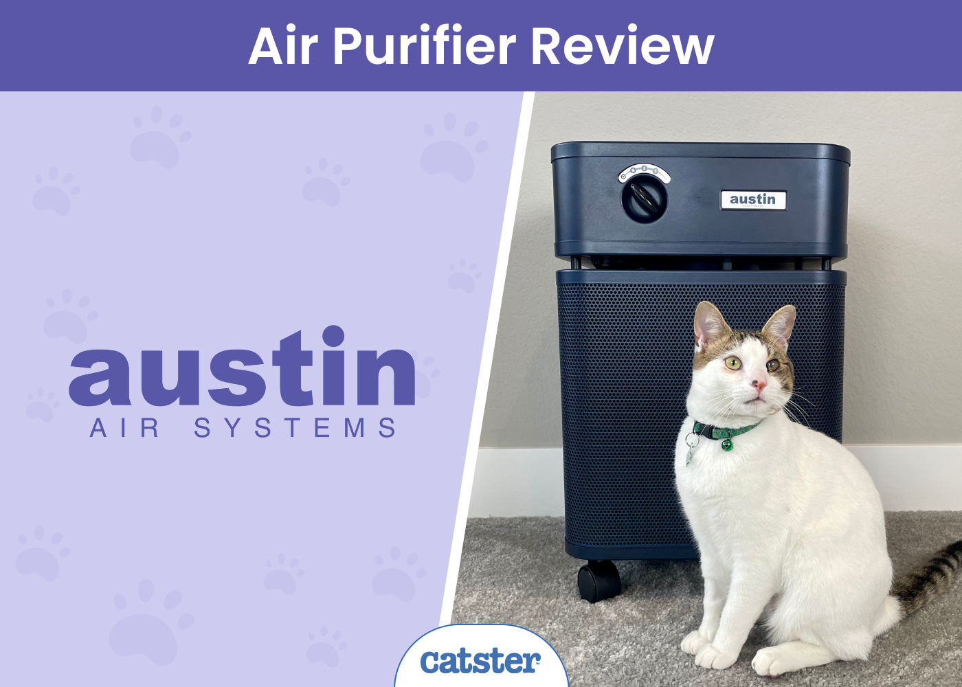 Austin Air HealthMate Review 2026: A Detailed Look