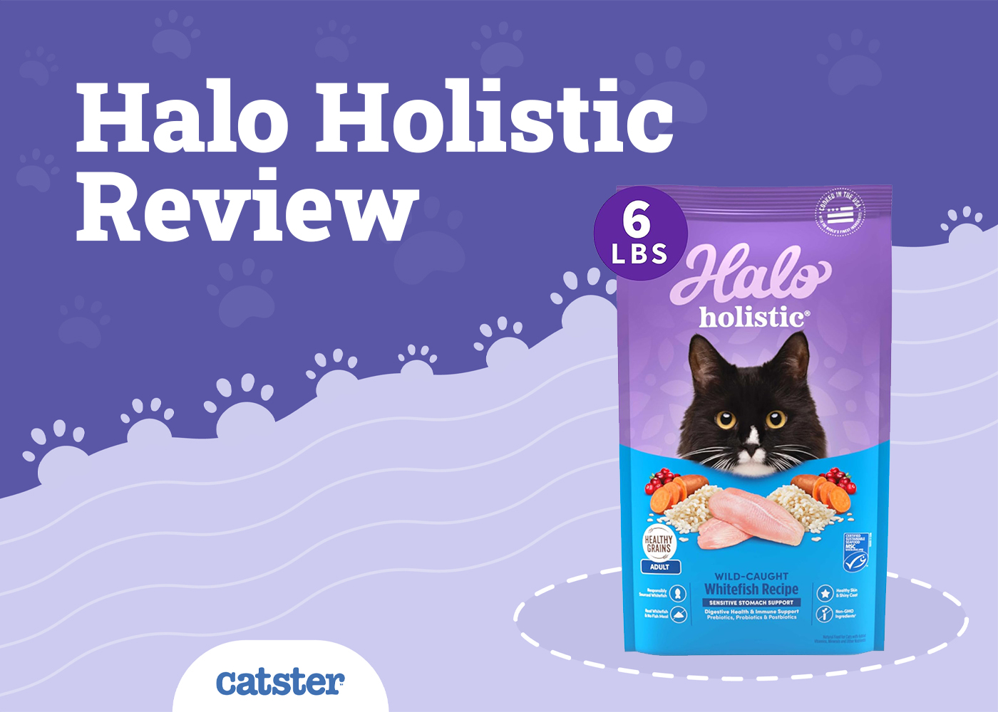 Halo Cat Food Review of 2026: Recalls, Pros & Cons