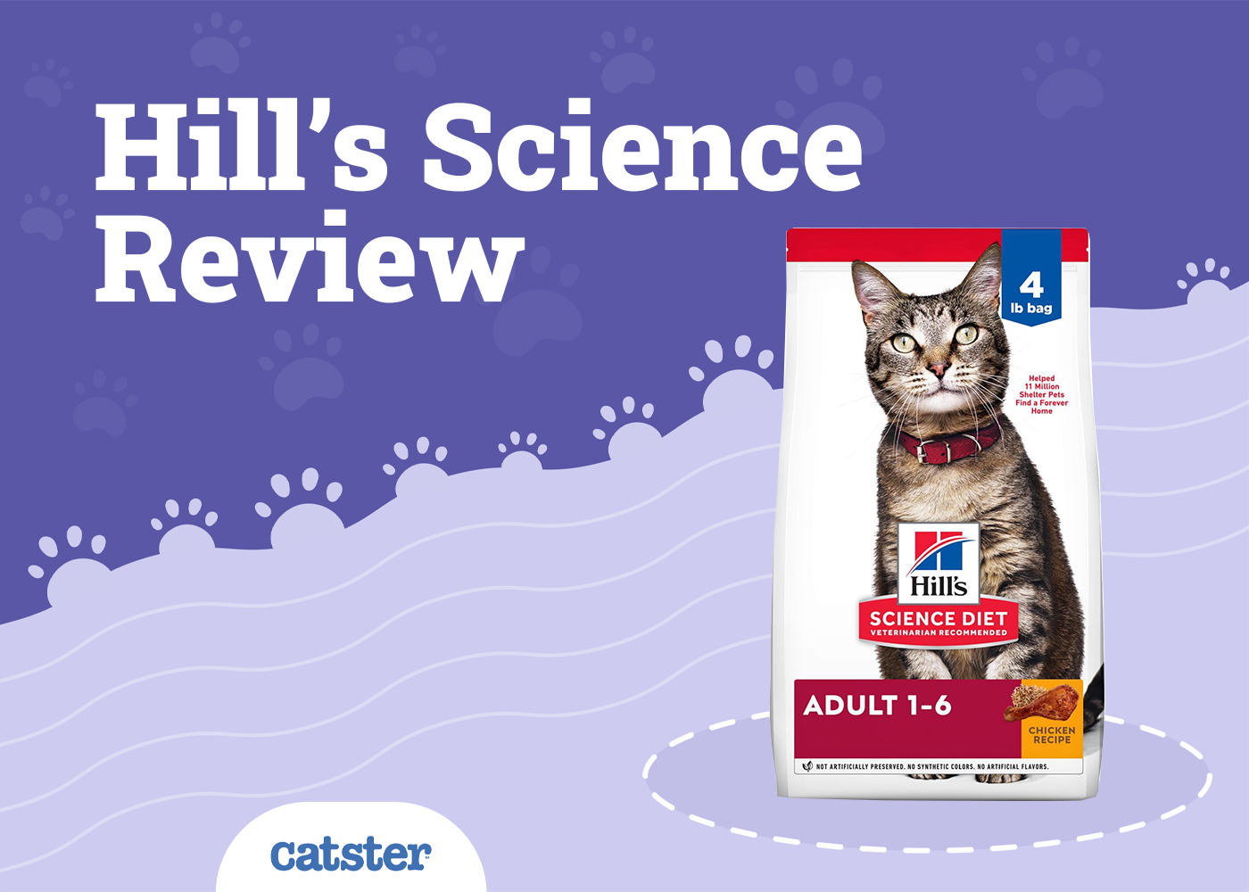 Hill’s Science Diet Cat Food Review in 2026: Recalls, Pros & Cons