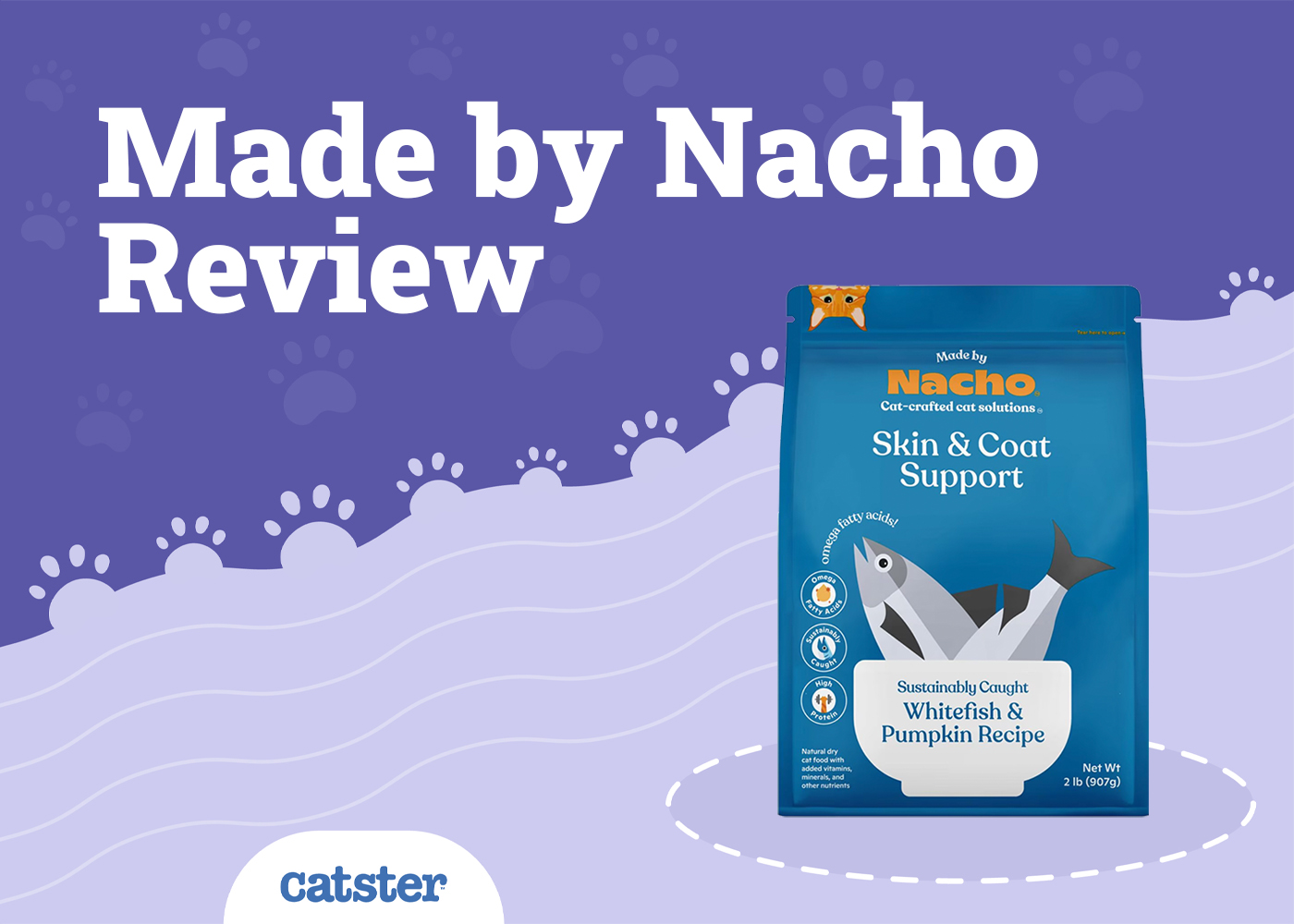 Made by Nacho Cat Food Review 2026: Recalls, Pros & Cons