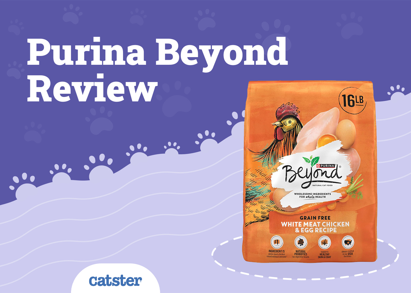 Purina Beyond Cat Food Review in 2026: Recalls, Pros & Cons