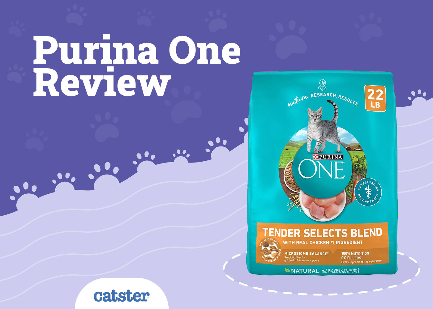 Purina ONE Cat Food Review of 2026: Recalls, Pros & Cons
