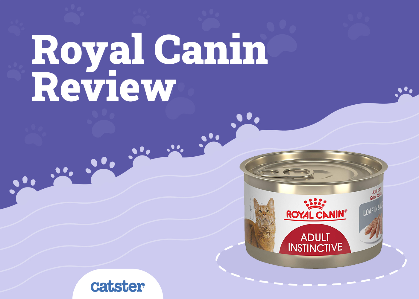 Royal Canin Cat Food Review in 2026: Recalls, Pros & Cons