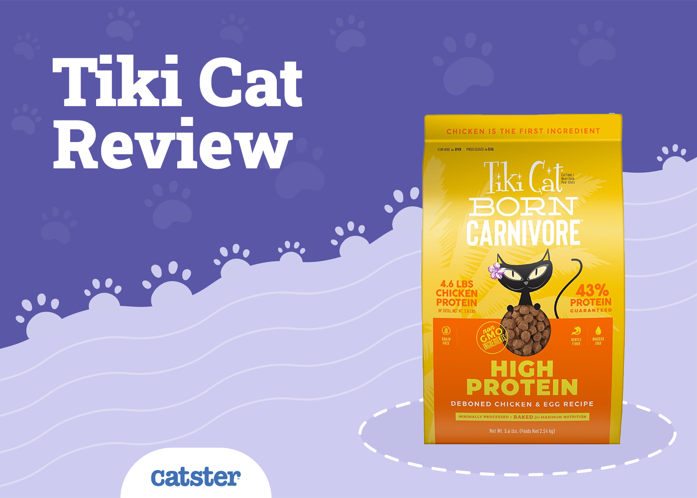 Tiki Cat - Cat Food Review of 2026: Recalls, Pros & Cons