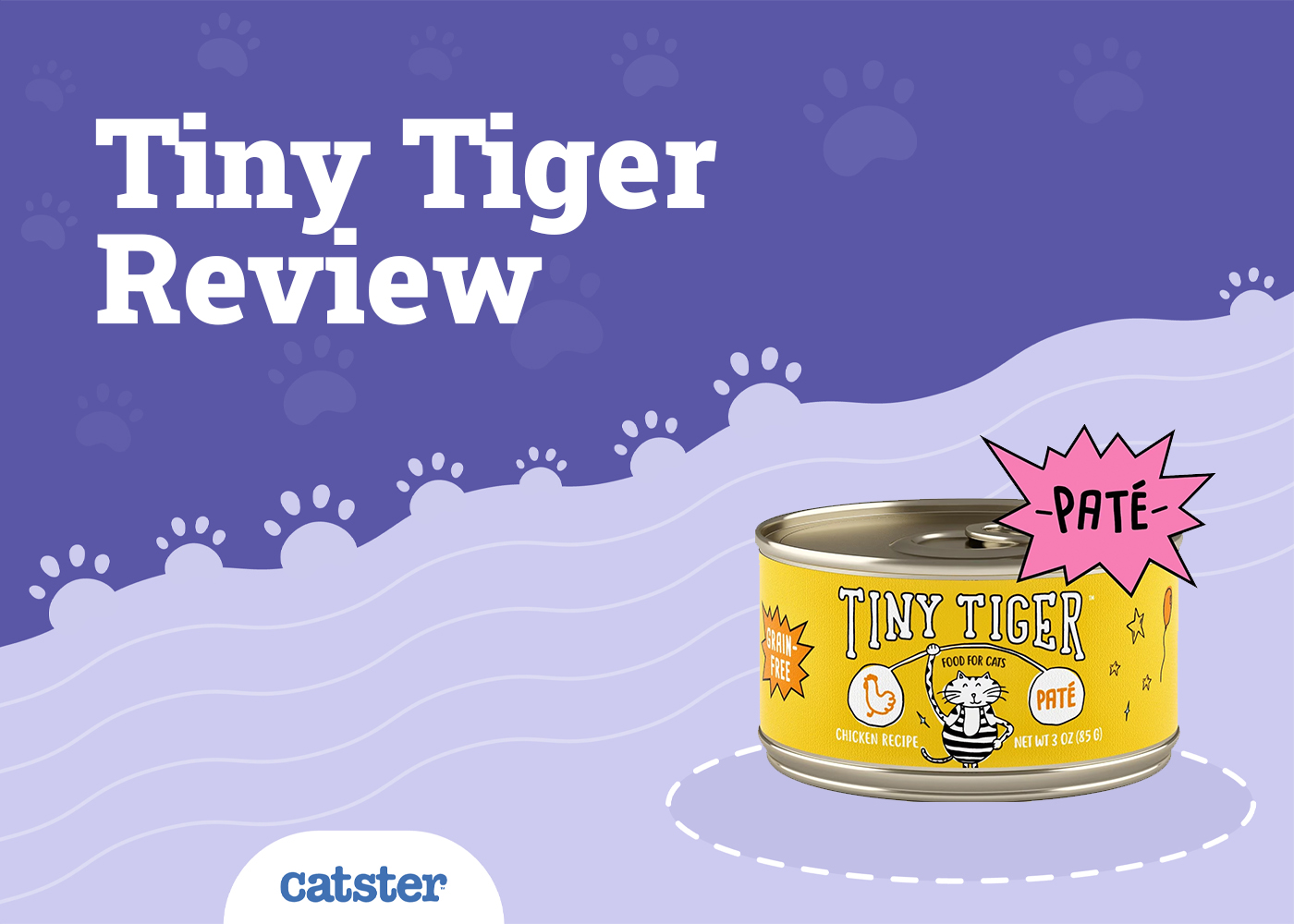 Tiny Tiger Cat Food Review of 2026: Recalls, Pros & Cons