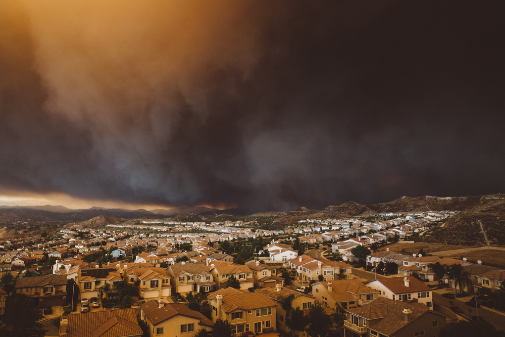 Pets & Wildfire Smoke: 9 Vet-Approved Tips to Keep Your Cat Safe