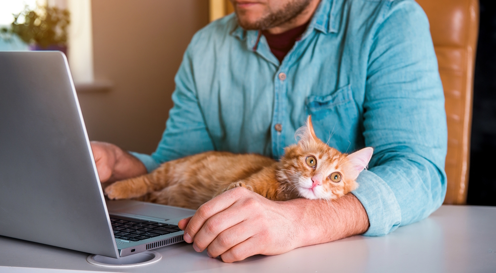 Why Do Cats Like to Sit on Keyboards? 5 Vet-Reviewed Reasons