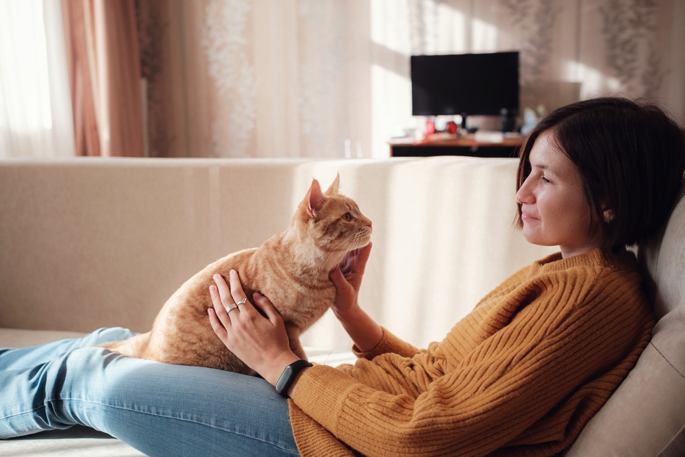 Why Is My Cat Clingy When I'm On My Period? Vet-Verified Facts & Info