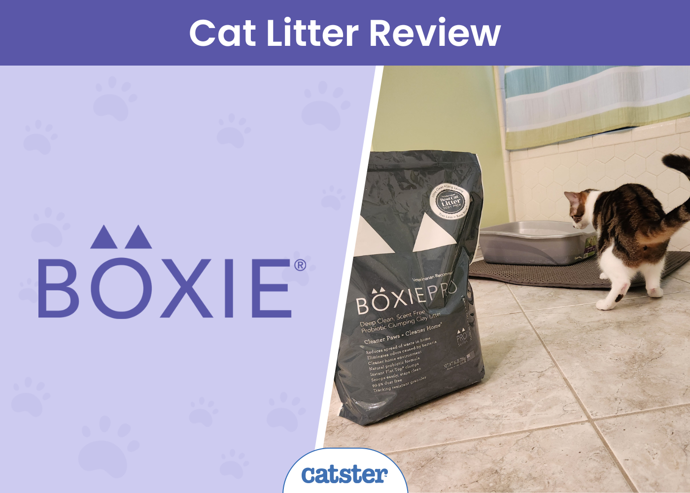 Boxie® Litter Review 2026: A Detailed Look