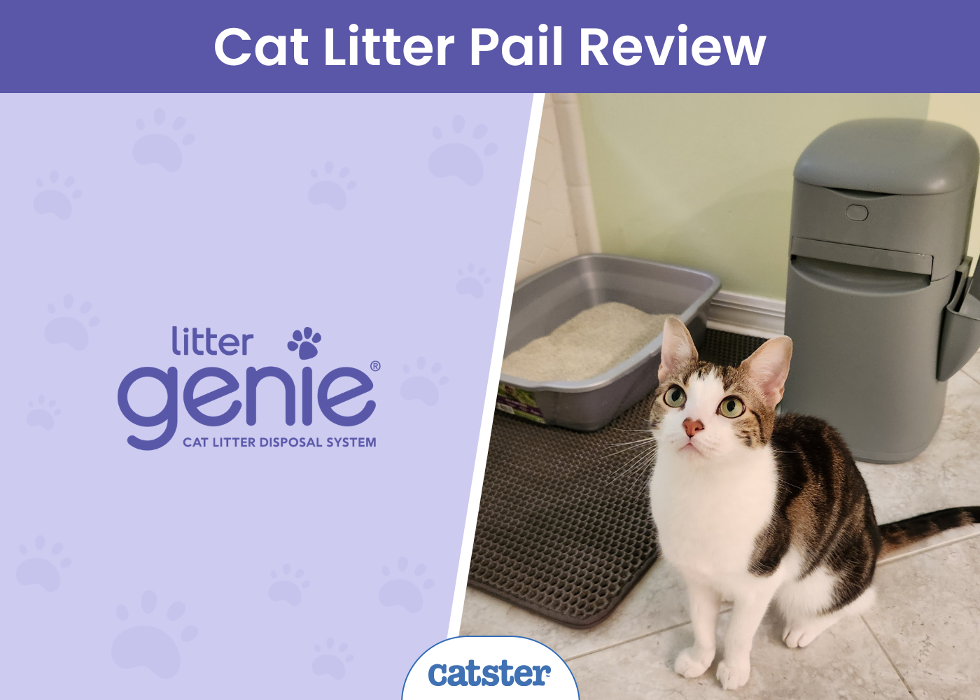 Litter Genie Easy Roll Pail Review 2026: A Detailed Look