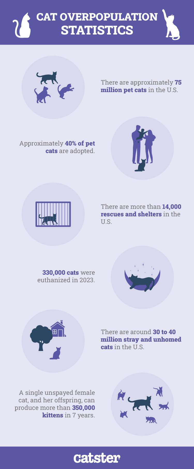 Cat_Overpopulation_Statistics