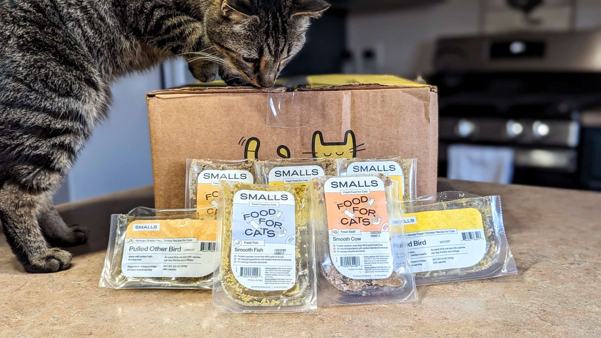 Smalls Cat Food Subscription - Lifestyle Box with Cat and Recipes