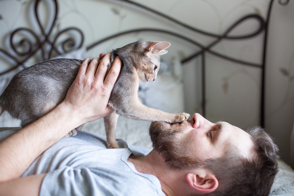 Why Does My Cat Put His Paw on My Mouth? 6 Vet-Reviewed Reasons