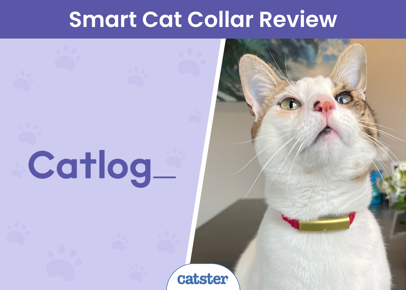 Catlog Smart Cat Collar Review 2026: A Detailed Look