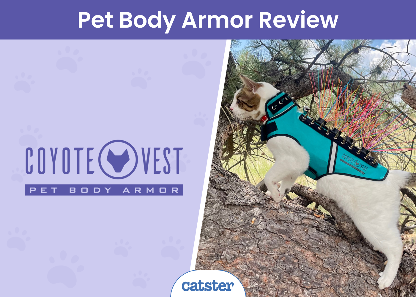 CoyoteVest Pet Body Armor Review 2026: A Detailed Look