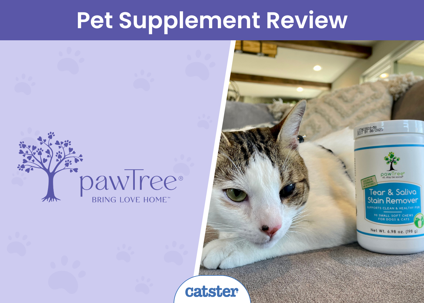 PawTree Tear & Saliva Stain Remover Chews Review 2026: A Detailed Look