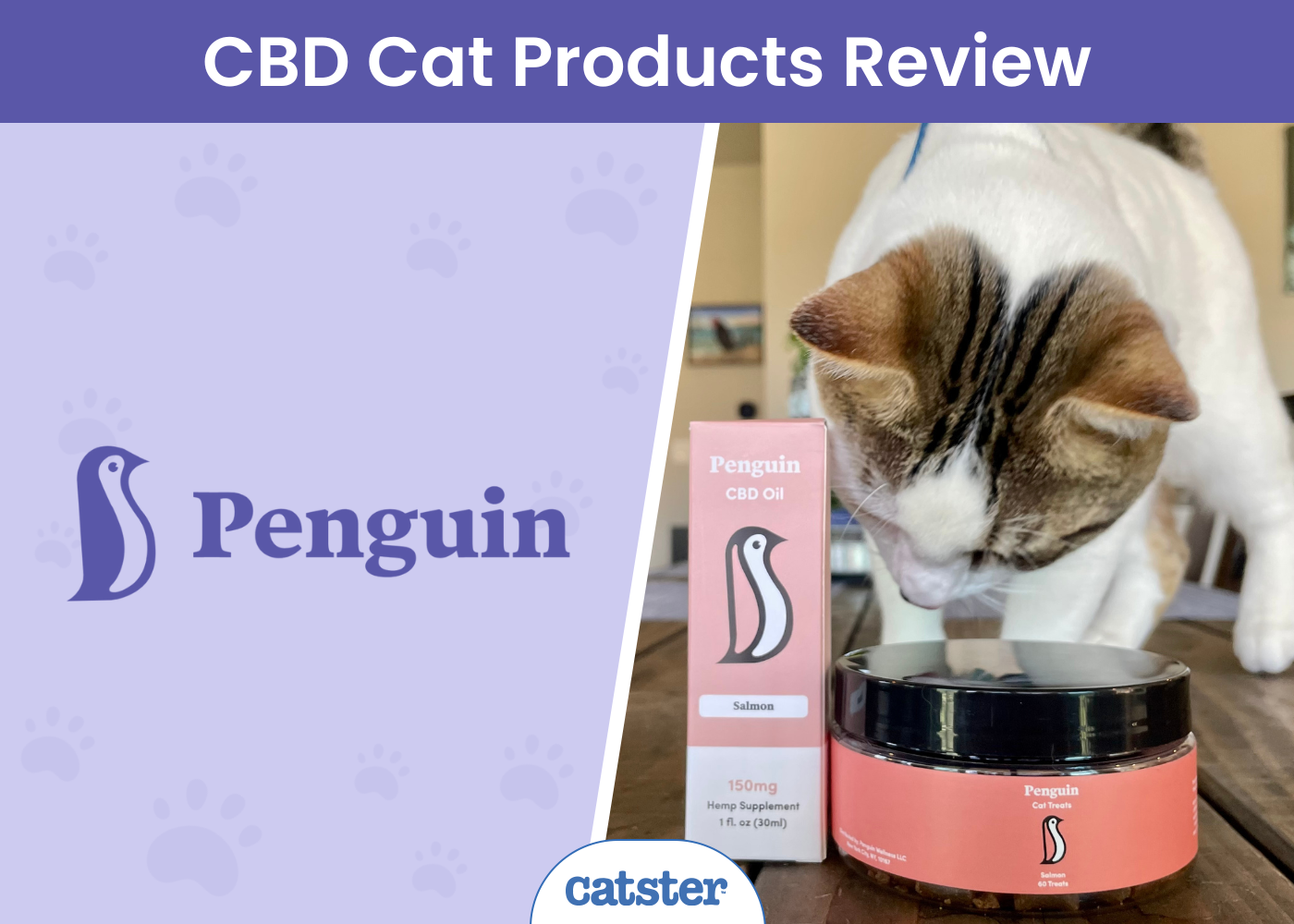 Penguin CBD Cat Supplement Review 2026: A Detailed Look