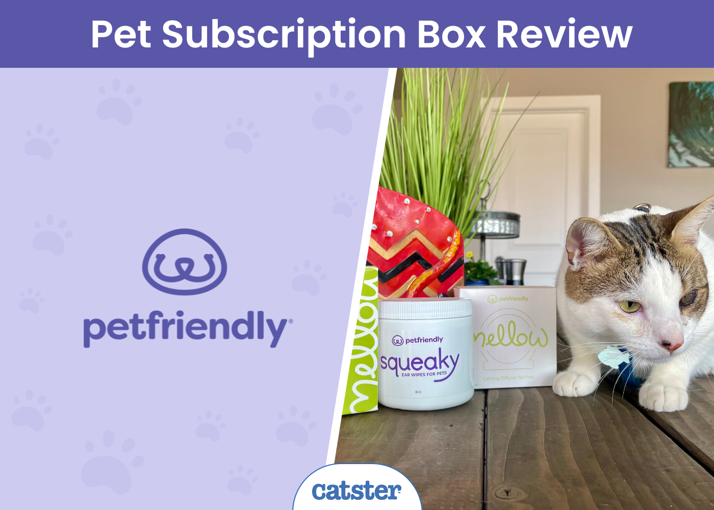 PetFriendly Subscription Box Review 2026: A Detailed Look