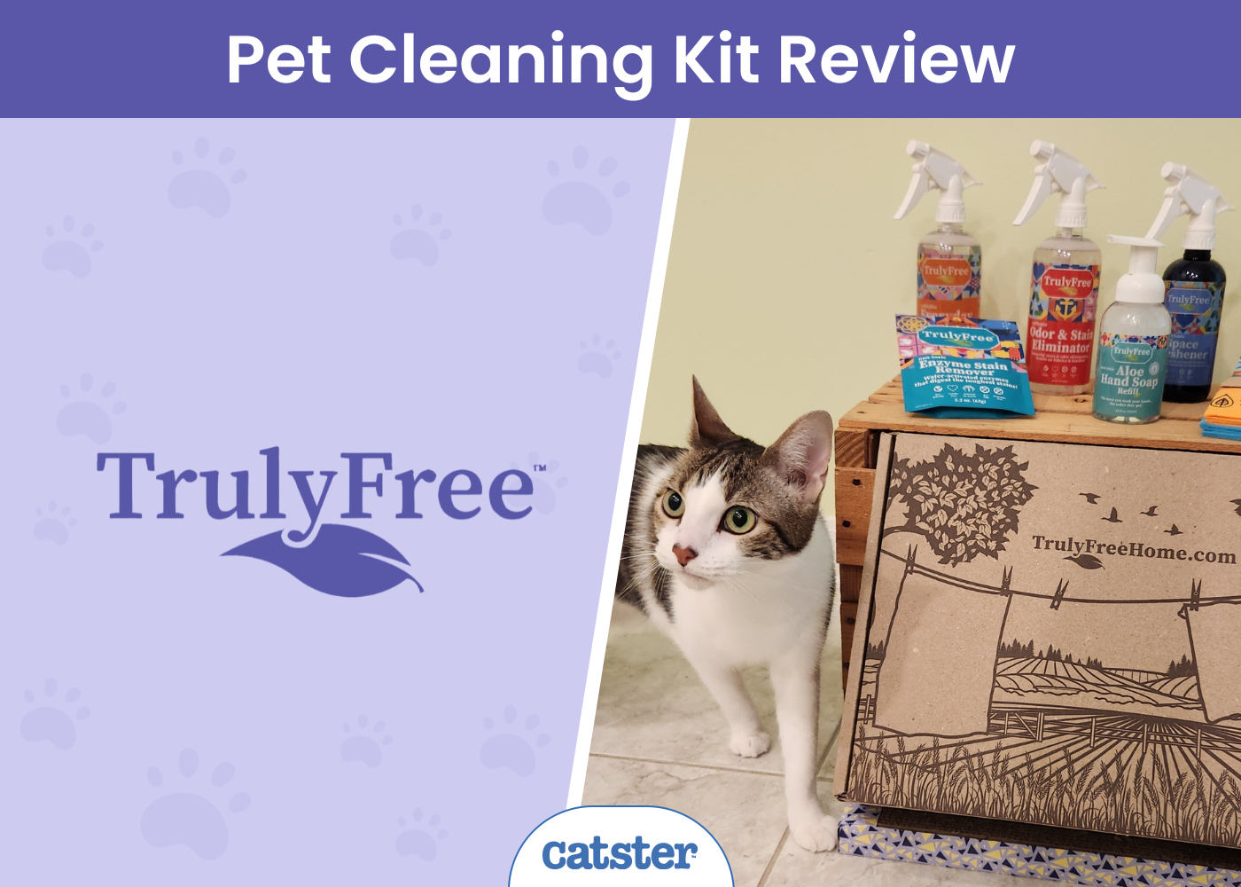 Truly Free Cleaning Products Review 2026: A Detailed Look