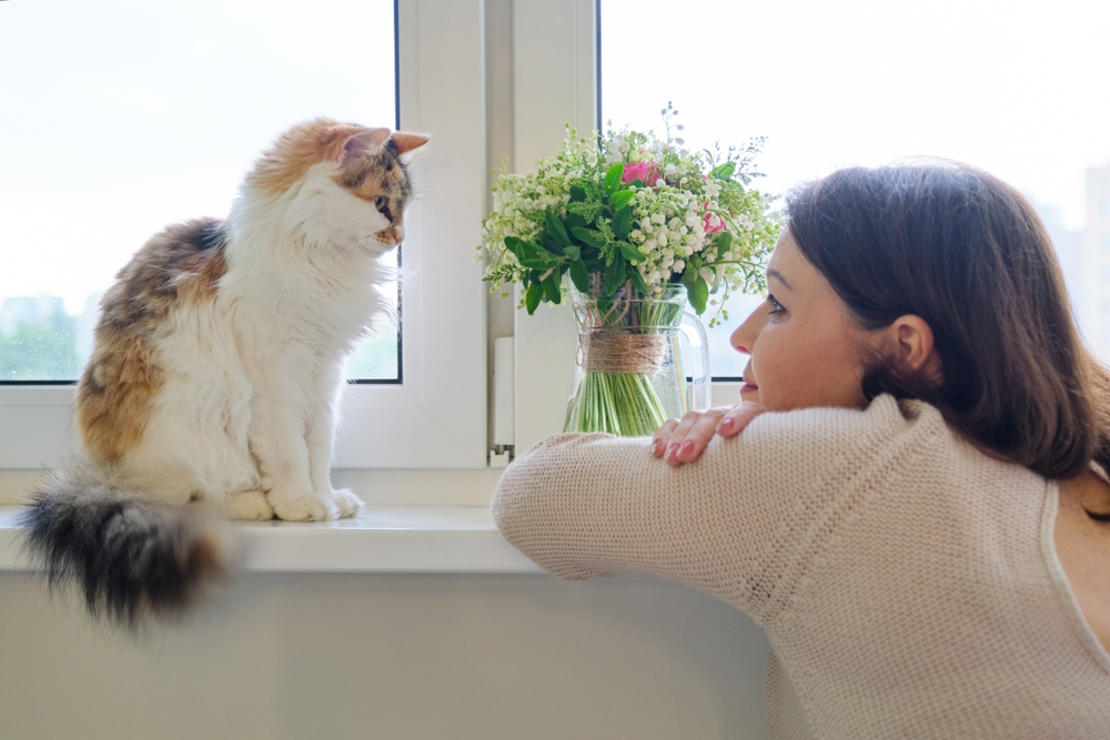 Do Cats Think Humans Are Cute? Exploring Feline Social Perception