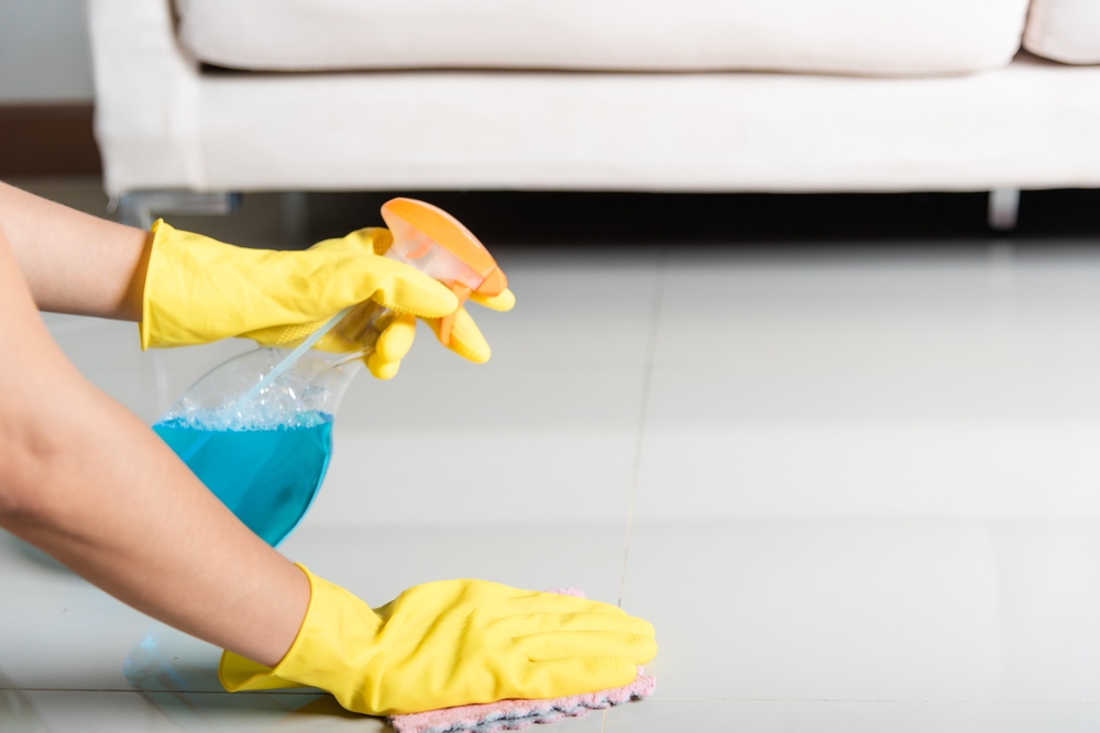 How to Get Rid of Cat Spray Smell: 6 Tips & Home Remedies