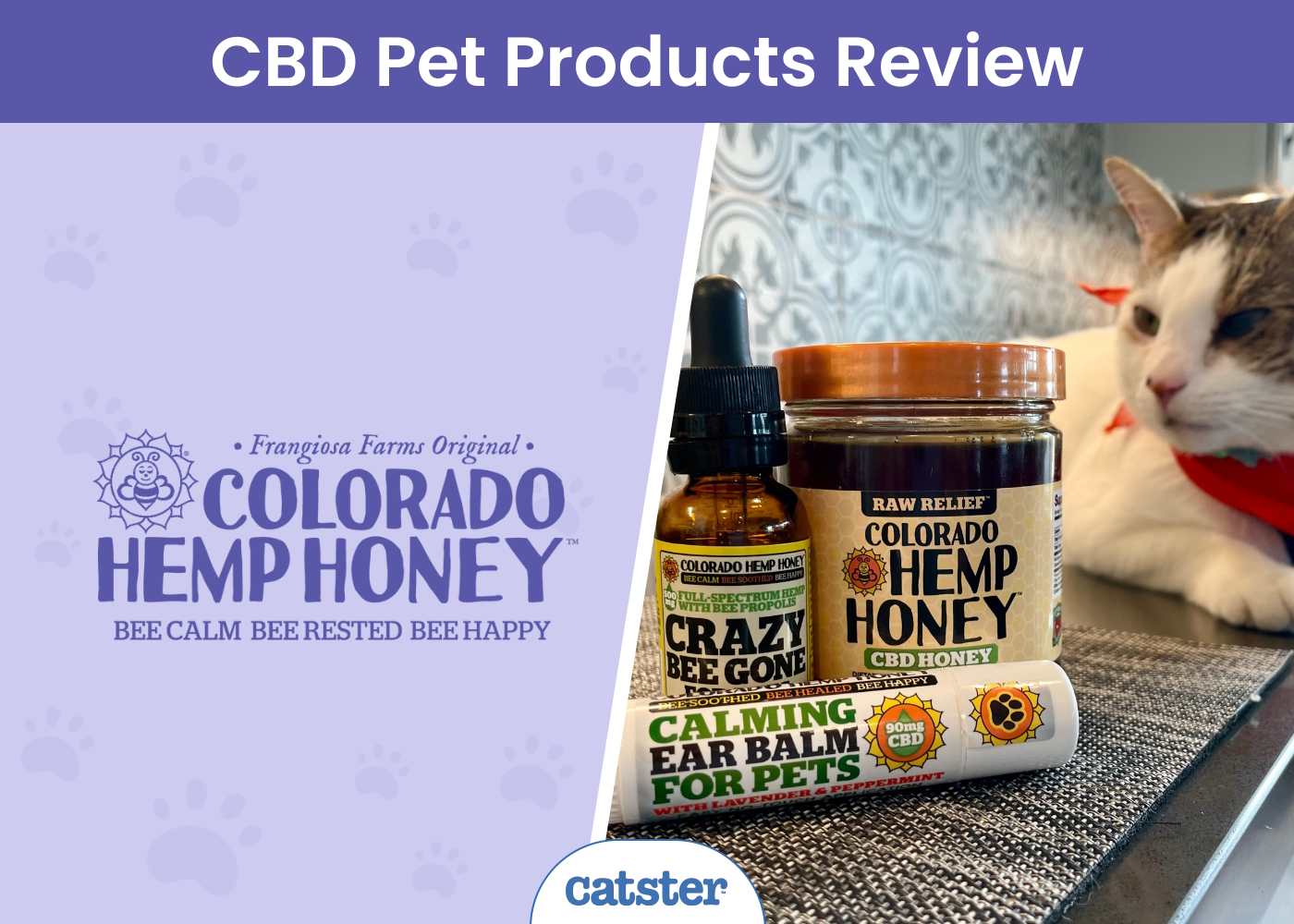 Colorado Hemp Honey Review 2026: A Detailed Look