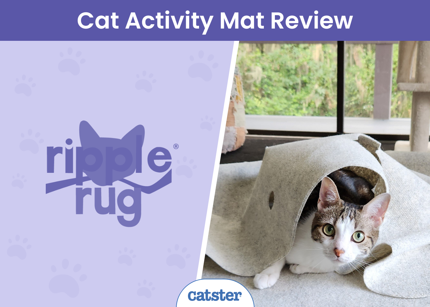 Ripple Rug for Cats Review 2026: A Detailed Look