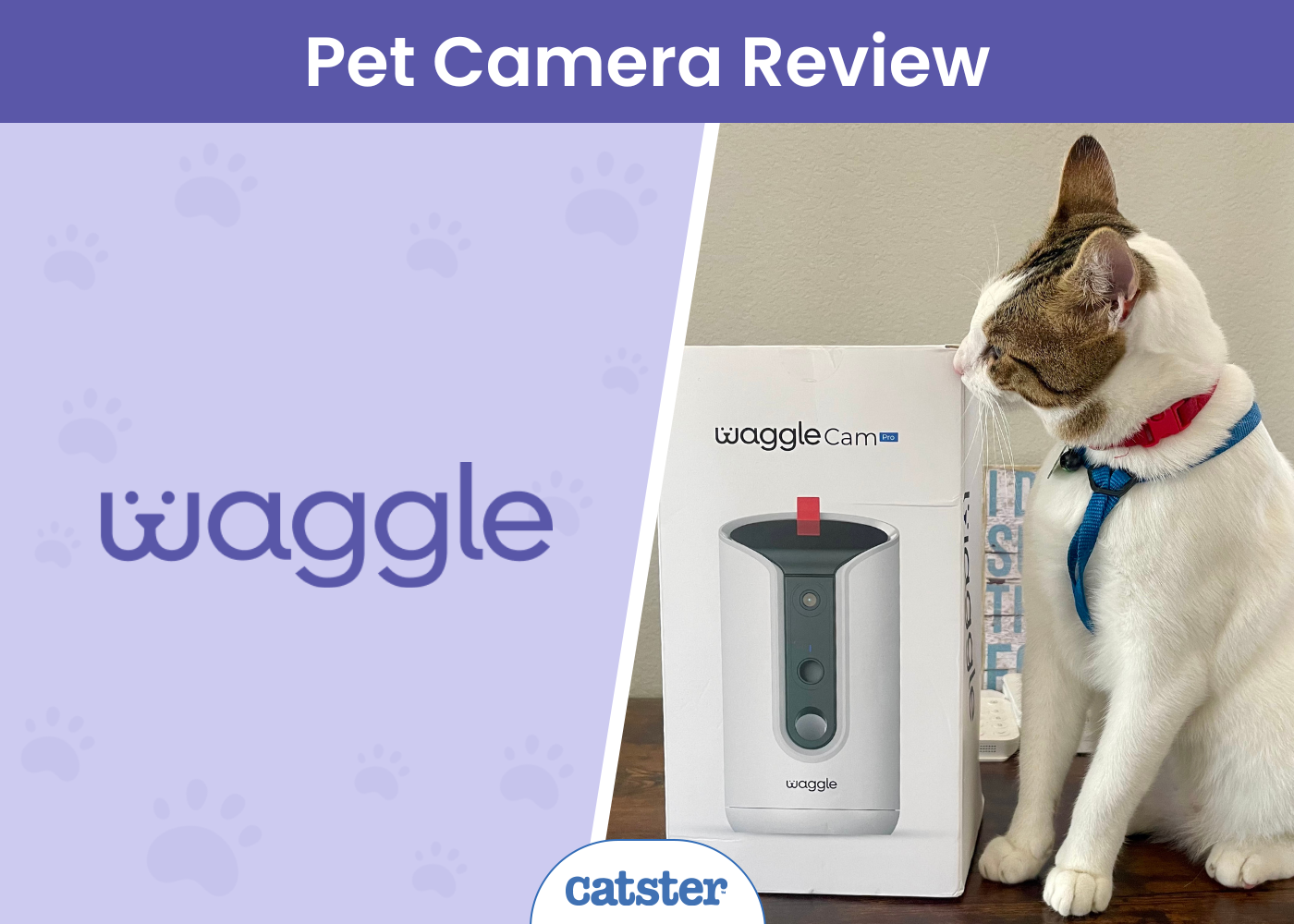 WaggleCam Pro Review 2026: A Detailed Look