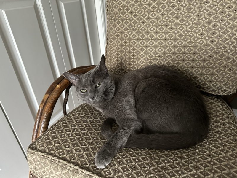 I'm only giving you the evil eye because you woke me up!