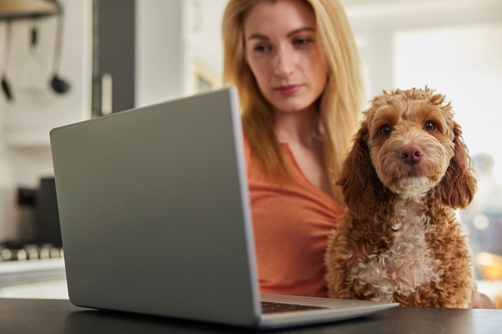 How to Get a Vet Prescription Online: 9 Steps & What to Expect