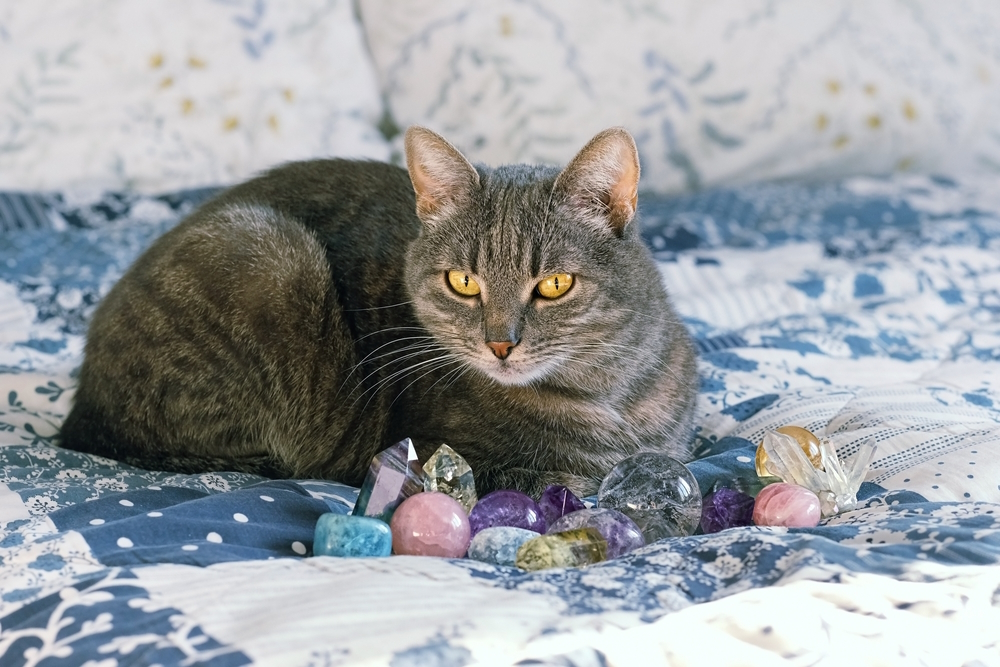12 Healing Crystals for Cats: A Holistic Guide