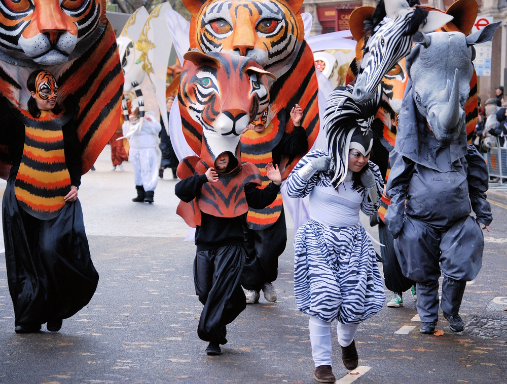 Kattenstoet (The Belgian Cat Festival) : Origins & Celebration Facts