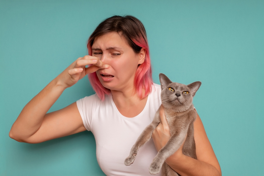 Why Do My Cat's Farts Smell Like Eggs? Our Vet Explains