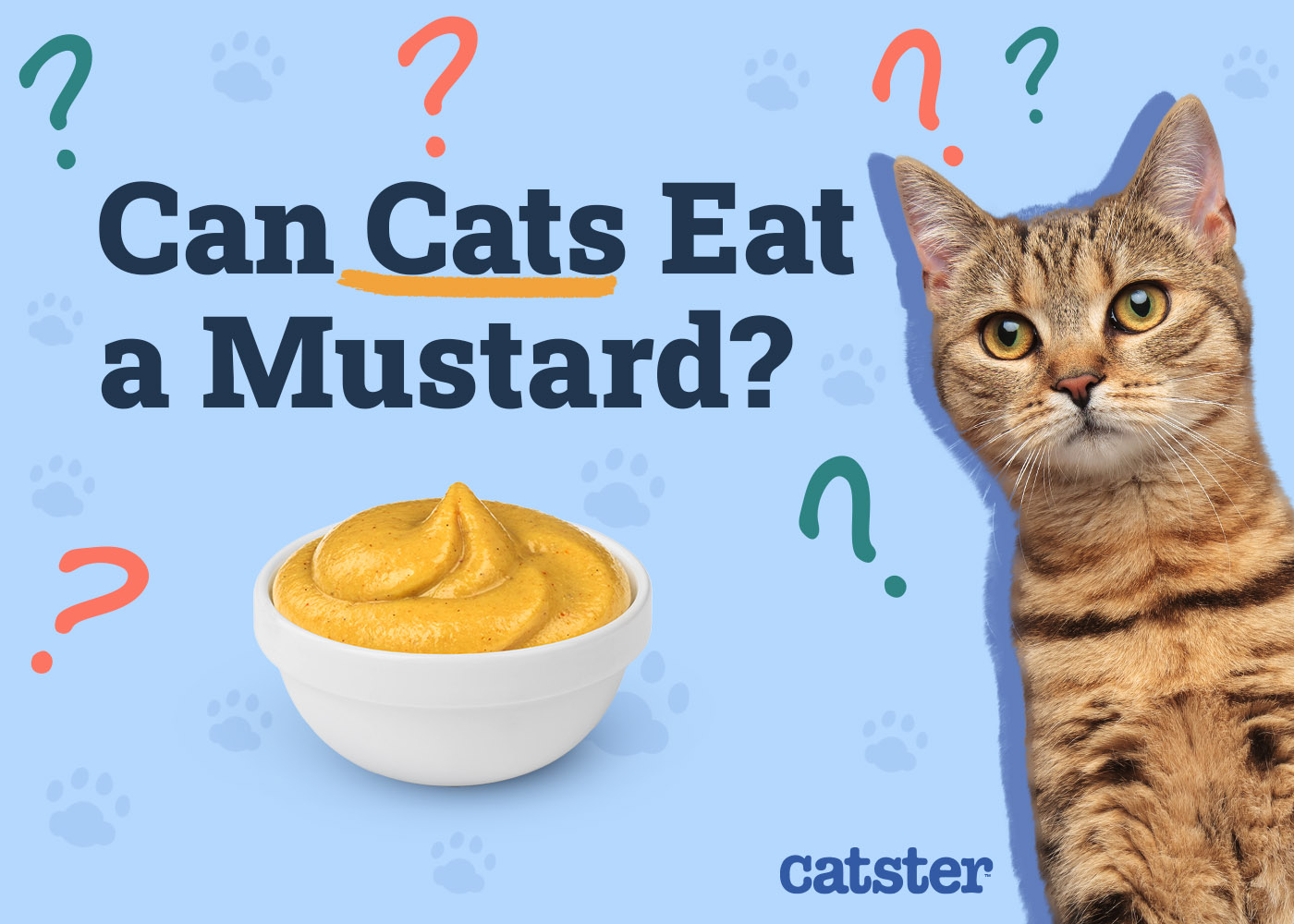 Can Cats Eat Mustard? Vet-Verified Risks & Precautions