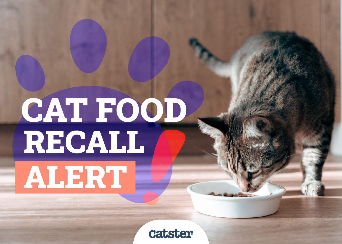 Cat Food Recall Alerts