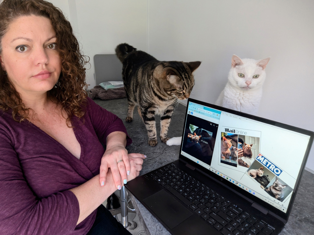 When Breeding Becomes Cruel: The Problem with Designer Cats