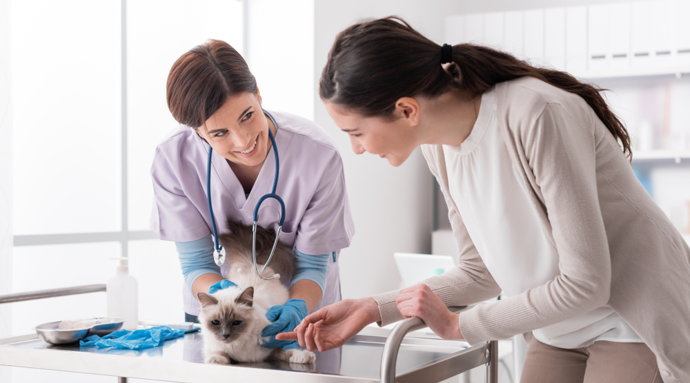 10 Types of Veterinary Specialists & What They Do: Vet Approved Guide