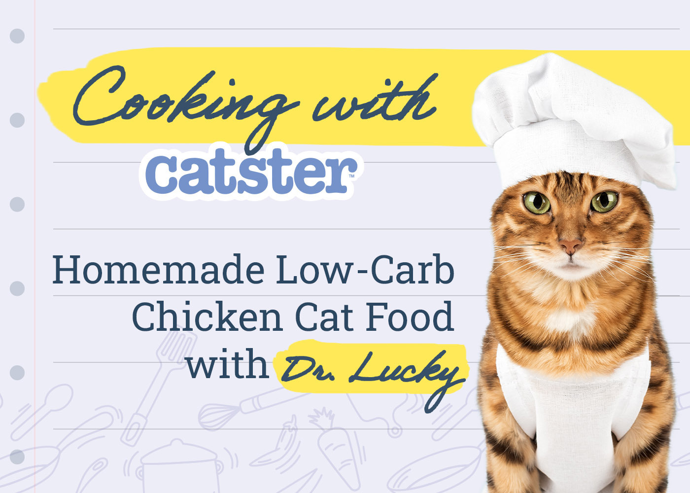 Homemade Low-Carb Chicken Cat Food Recipe: Dr. Lucky’s Meal Planning for Cats