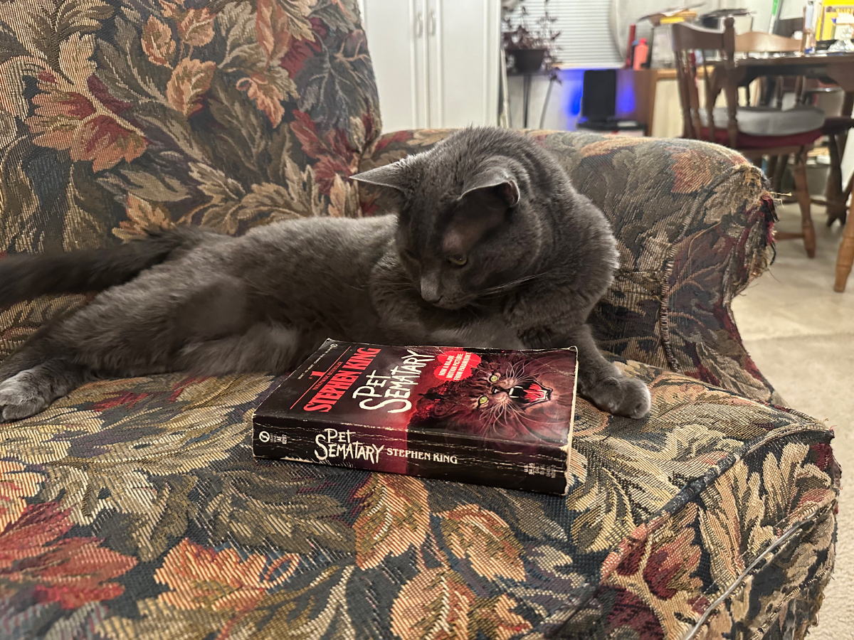How Movies and Television Portray Cats: Stereotypes & Olga’s Nature