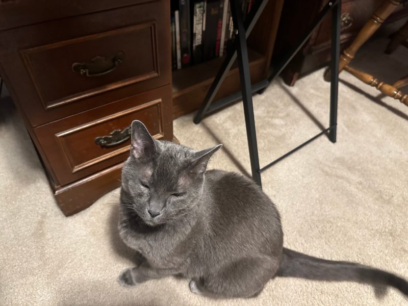 Please stop working. It's dinnertime!